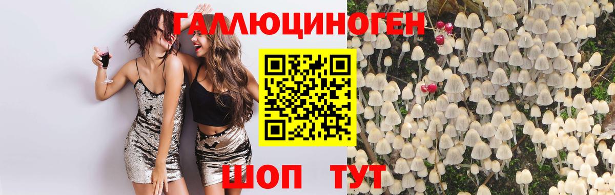 Нурлат  купить наркотики сайты  Вход с VPN  Псилоцибиновые грибы ЛСД 
